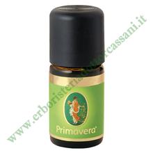 Olio Essenziale Angelica (Angelica archangelica) BIO 1 ml