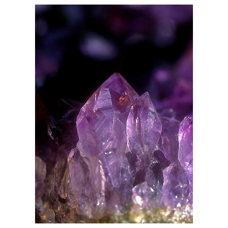 Acquista Gem Elisir - BRAZILIAN AMETHYST (Ametista brasiliana): Essenze di cristalli  e pietre preziose