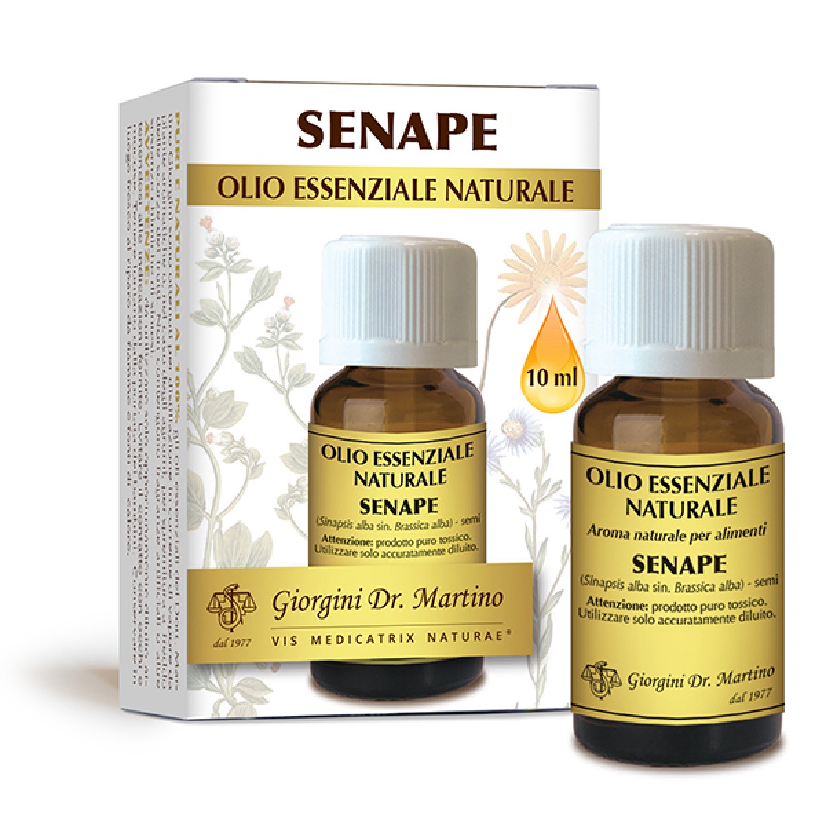Olio essenziale puro di Senape, Brassica alba, marca Giorgini dr