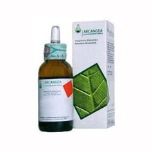 GEMMODERIVATO DI BIANCOSPINO (Crataegus oxyacantha) 50 ml BIO