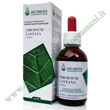 GEMMODERIVATO DI VIBURNO (Viburnum lantana) 50 ml