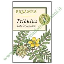 TRIBULUS (Tribulus Terrestris L.) 50 Capsule