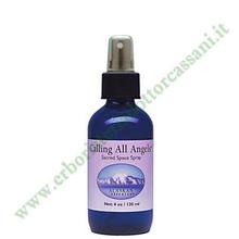 Calling All Angels Sacred Space Spray 60 ml