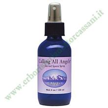 Calling All Angels Sacred Space Spray 120 ml
