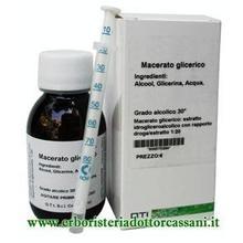 Macerato Glicerico di GELSO Nero (Morus Nigra) 100ml