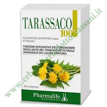 TARASSACO 100% (Taraxacum officinale)
