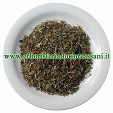 PIANTA OFFICINALE Pilosella pianta tagl.tisana (Hieracium pilosella L.) 500 grammi