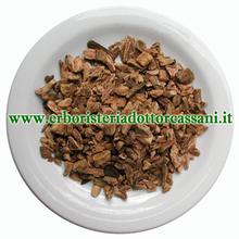 PIANTA OFFICINALE Rabarbaro (Rheum rapphonticum L.) tagl.tisana 500 grammi
