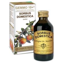 Dr. Giorgini GEMMO 10+ Sorbo 100 ml liquido analcoolico