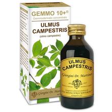 Dr. Giorgini GEMMO 10+ Olmo Campestre 100 ml liquido analcoolico