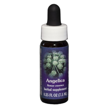 ESSENZA CALIFORNIANA Angelica (Angelica archangelica) 30 ml