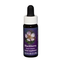 ESSENZA CALIFORNIANA Blackberry (Rubus ursinus) 7.5 ml