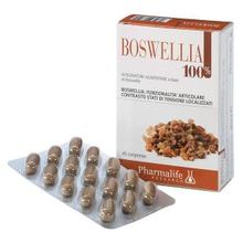 Boswellia 100% - 45 Compresse