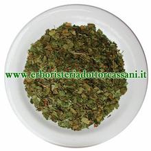 PIANTA OFFICINALE Gimnema pianta tagl.tisana (Gymnema Sylvestri R.Br) 500 grammi
