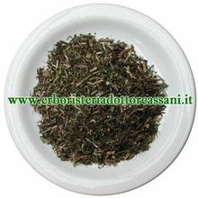 PIANTA OFFICINALE Aparine pianta tagl.tisana (Galium aparine L.) 500 grammi