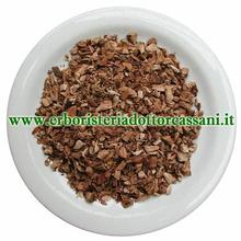 PIANTA OFFICINALE Calamo aromatico rizoma tagl. tisana ( Acorus calamus L.) 500 grammi