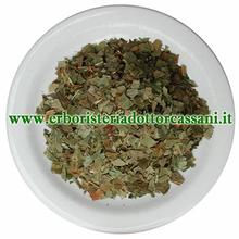 PIANTA OFFICINALE Frassino foglie tagl.tisana (Fraxinus excelsior L.) 500 grammi