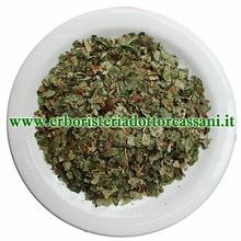 PIANTA OFFICINALE Fragola foglie tagl.tisana (Fragaria vesca L.) 500 grammi