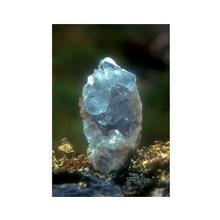 Gem Elisir - CELESTITE: Essenze di cristalli e pietre preziose di Ricerca