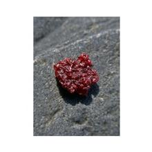 Gem Elisir - CINNABAR (Cinabro): Essenze di cristalli e pietre preziose di Ricerca
