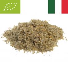ELICRISO ITALICO BIOLOGICO fiori (Helicrysum italicum G. Don) 500 gr