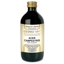Dr. Giorgini GEMMO 10+ Acero Campestre 500 ml liquido analcoolico 