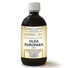 Dr. Giorgini GEMMO 10+ Olivo 500 ml liquido analcoolico