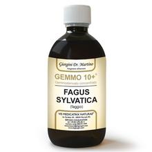 Dr. Giorgini GEMMO 10+ Faggio 500 ml liquido analcoolico