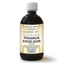 Dr. Giorgini GEMMO 10+ Frassino 500 ml liquido analcoolico