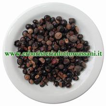 PIANTA OFFICINALE Guaranà semi torrefatti (Paullinia cupana) 500 grammi