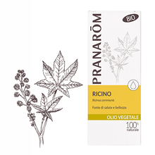 Olio di Ricino (Ricinus communis) BIO 50 ml