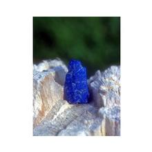 Gem Elisir - LAPIS LAZULI (Lapislazzuli): Essenze di cristalli e pietre preziose