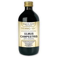 Dr. Giorgini GEMMO 10+ Olmo Campestre 500 ml liquido analcoolico