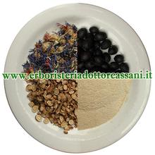 PIANTA OFFICINALE Canfora cinese naturale polvere (Cinnamomum camphora (L.) Sieber.) 500 gr