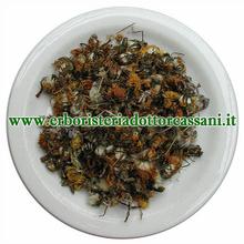PIANTA OFFICINALE Farfara Fiori (Tussilago farfara L.) 500 grammi