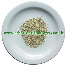 PIANTA OFFICINALE Quinoa semi interi ( Chenopodium quinoa willd. ) 500 Grammi