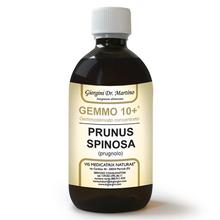Dr. Giorgini GEMMO 10+ Prugnolo 500 ml liquido analcoolico