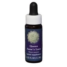 ESSENZA CALIFORNIANA Queen Anne's Lace (Daucus carota) 7.5 ml