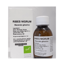 Macerato Glicerico di RIBES NERO (Ribes Nigrum) 100ml