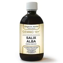 Dr. Giorgini GEMMO 10+ Salice 500 ml liquido analcoolico