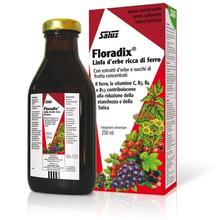 Salus FLORADIX Ferro e Vitamine Linfa D'Erbe 250 ml.
