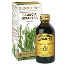 Dr. Giorgini GEMMO 10+ Sequoia 100 ml liquido analcoolico