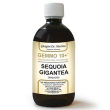 Dr. Giorgini GEMMO 10+ Sequoia 500 ml liquido analcoolico