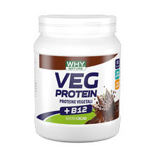 WhyNature Veg Protein Gusto Cacao 450 gr.