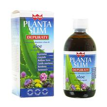 Winter Planta Slim Depuraty 500 ml
