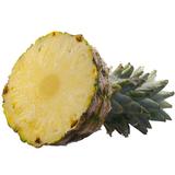 Ananas  ( Ananassa sativa )